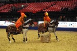 Quadrille - 00090